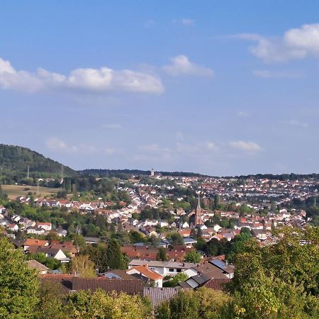 Ferienwohnung Schleiten Püttlingen エクステリア 写真